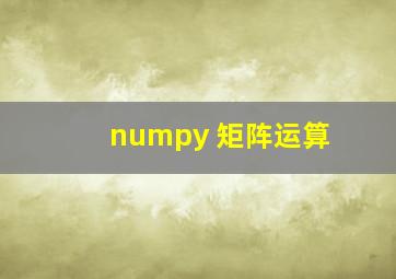 numpy 矩阵运算